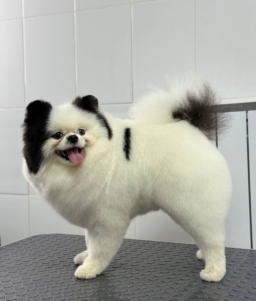 <span style="font-weight: 700;">Экспресс-мойка (до 7 кг)</span><br>